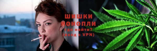 крисы Магас