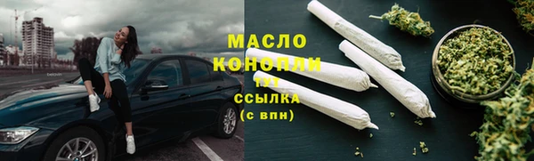 крисы Магас
