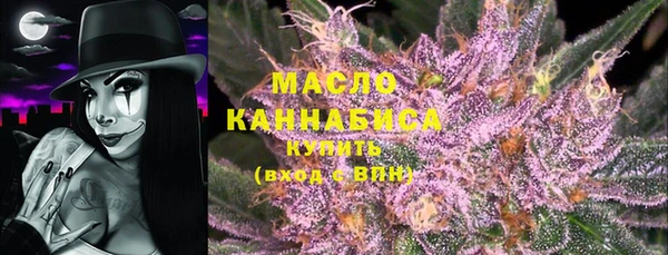 крисы Магас