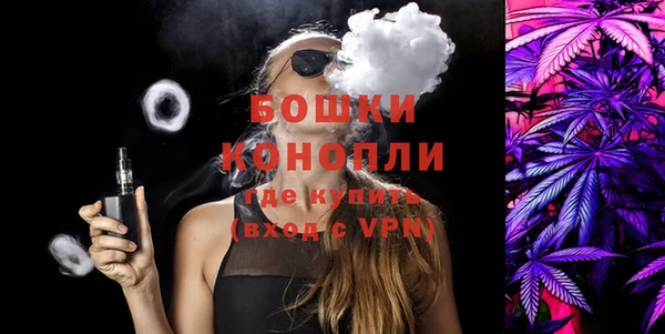 крисы Магас