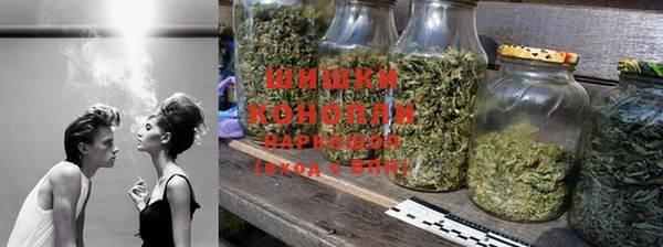 крисы Магас