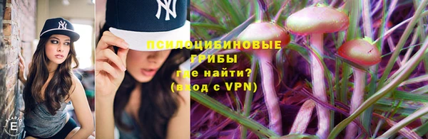 крисы Магас