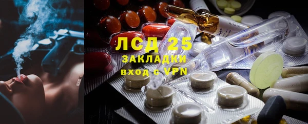 крисы Магас
