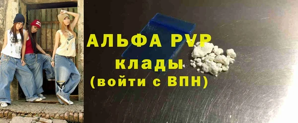 крисы Магас