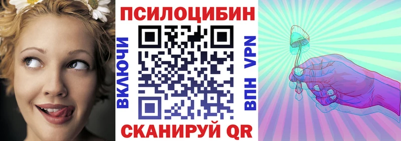 Купить  Кстово  Галлюциногенные грибы Cubensis 